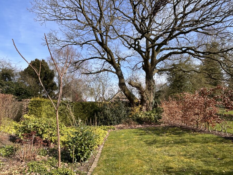 Familienglück pur! Großes Einfamilienhaus mit großem Garten & Platz zum Entspannen - Garten (39374)