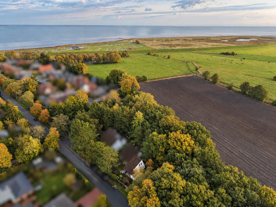 Fein und charmant – Wohnen oder Ferienvermietung direkt an der Nordseeküste - Drohnenaufnahme (51402)