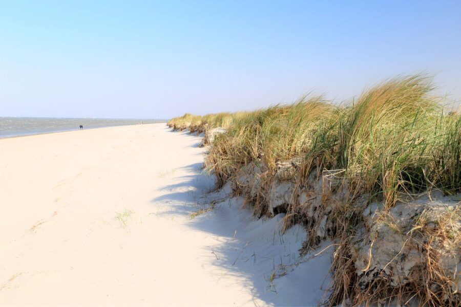 Großzügige Ferienwohnung mit Meerblick in Schillig 4. Etage 50.4.N - Strand Schillig (34622)