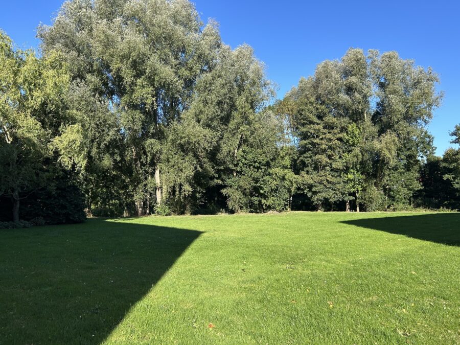 Modernisierte 4-Zimmer-Wohnung mit Balkon in gepflegtem Mehrfamilienhaus - Gemeinschaftsgarten (36196)
