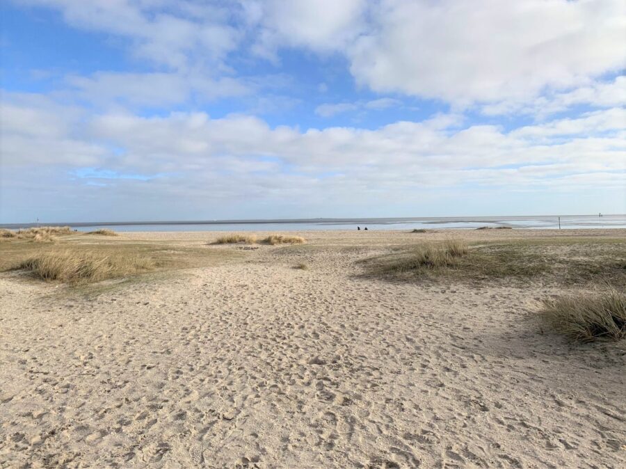 Traumwohnung mit Meerblick in Schillig an der Nordsee - 50.4.N - Strand Schillig (40432)